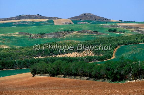espagne castille 07.jpg - PaysageCastille La MancheEspagne